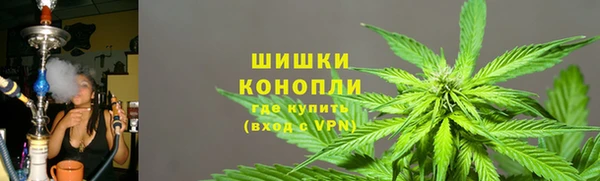 стаф Магадан