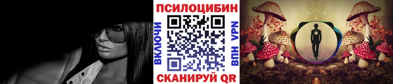 Псилоцибиновые грибы Psilocybine cubensis  Щёкино 
